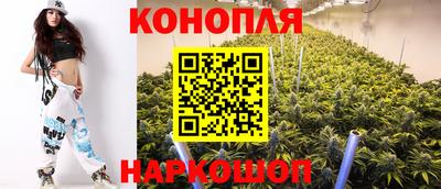 МДПВ Жуковский