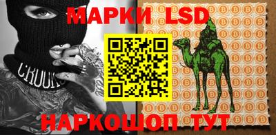 стафф Заволжье