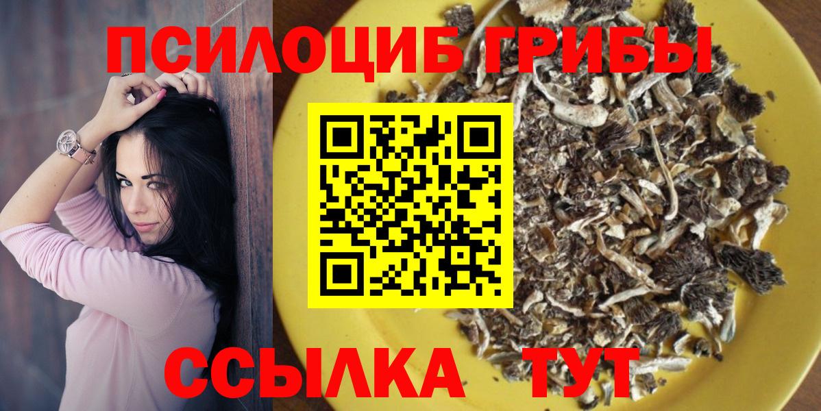 Псилоцибиновые грибы Cubensis  Вход с VPN  Кушва 
